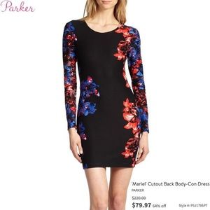Parker dress